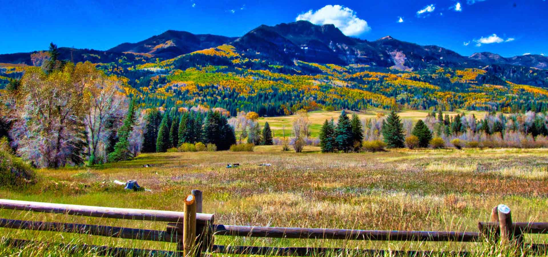 Pagosa Springs Landscape