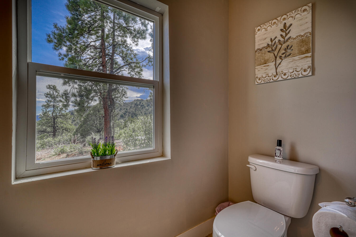 Second bathroom in vacation rental with great mountain views by A River Runs Thru It